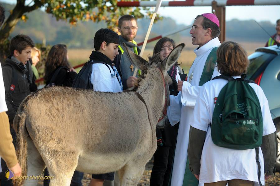 Nom de l'image : D30082856_1_(c)Norbert-JUNG — Description :